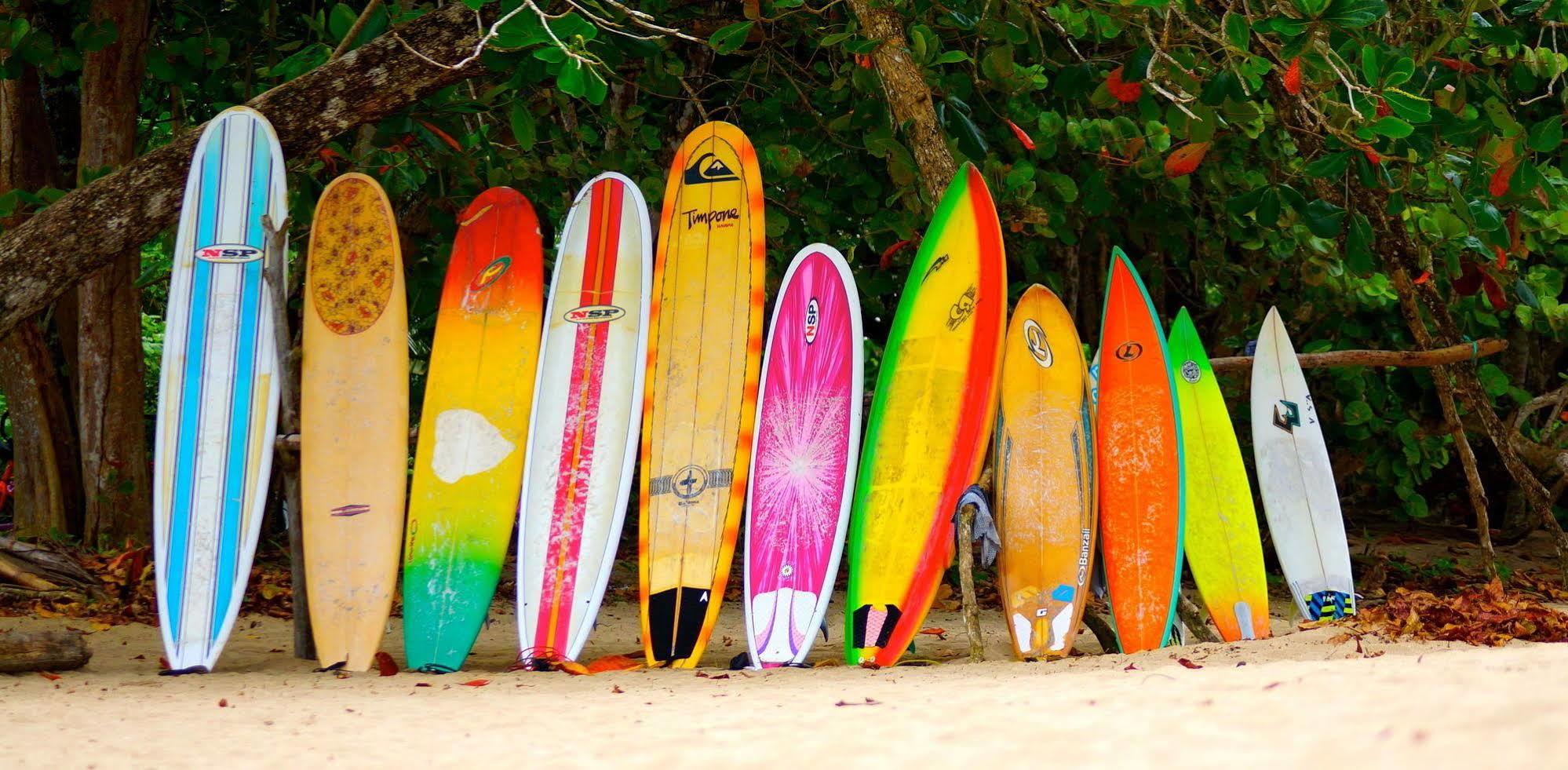Physis Caribbean Bed & Breakfast Puerto Viejo de Talamanca Exterior photo
